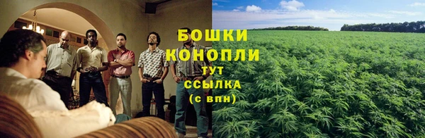 гашик Россошь